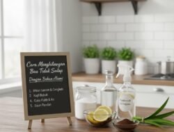 Cara Menghilangkan Bau Tidak Sedap di Dalam Ruangan Menggunakan Bahan-bahan Alami yang Ada di Sekitar